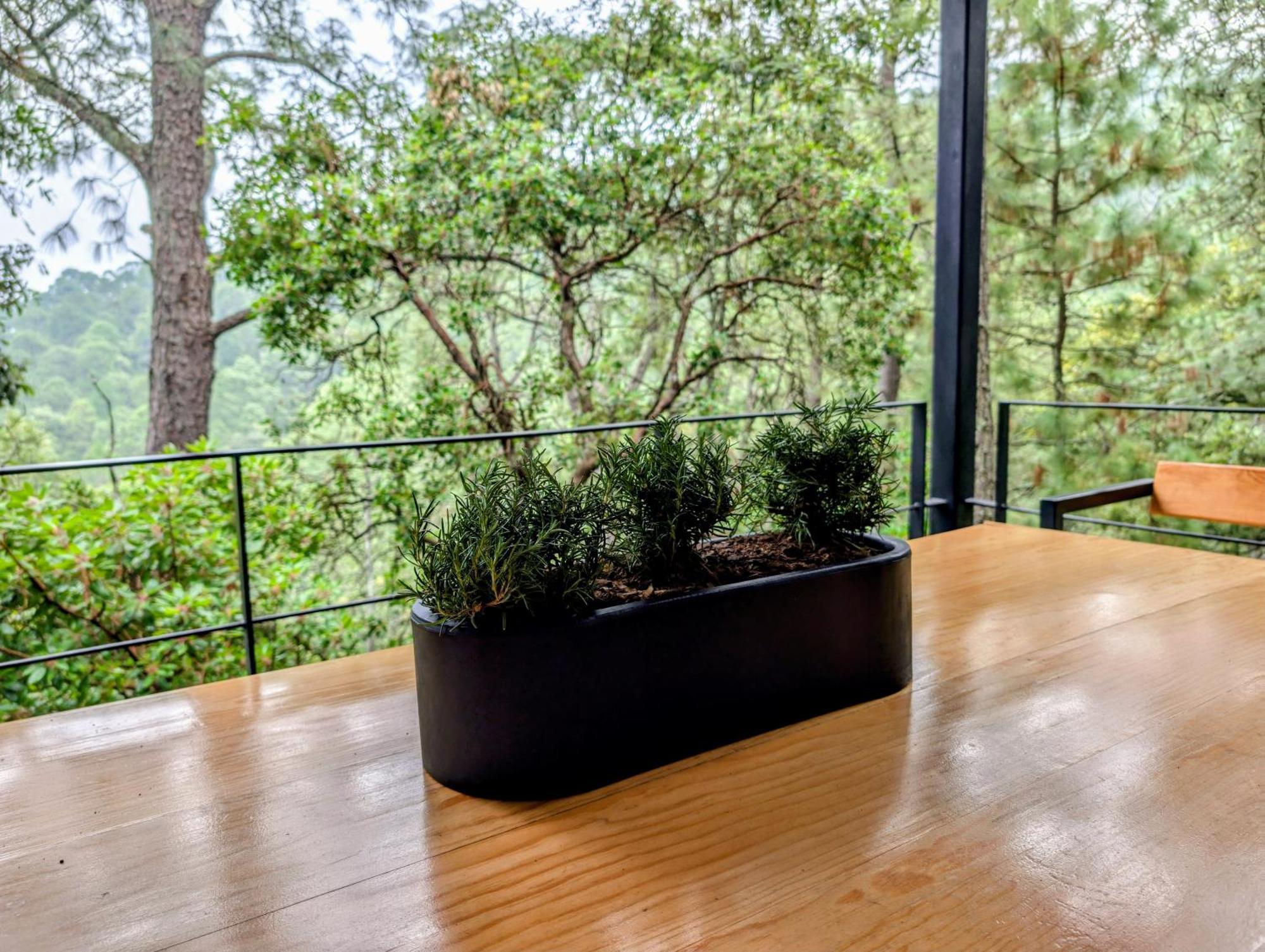 Cabana La Finca Mazamitla Eksteriør billede