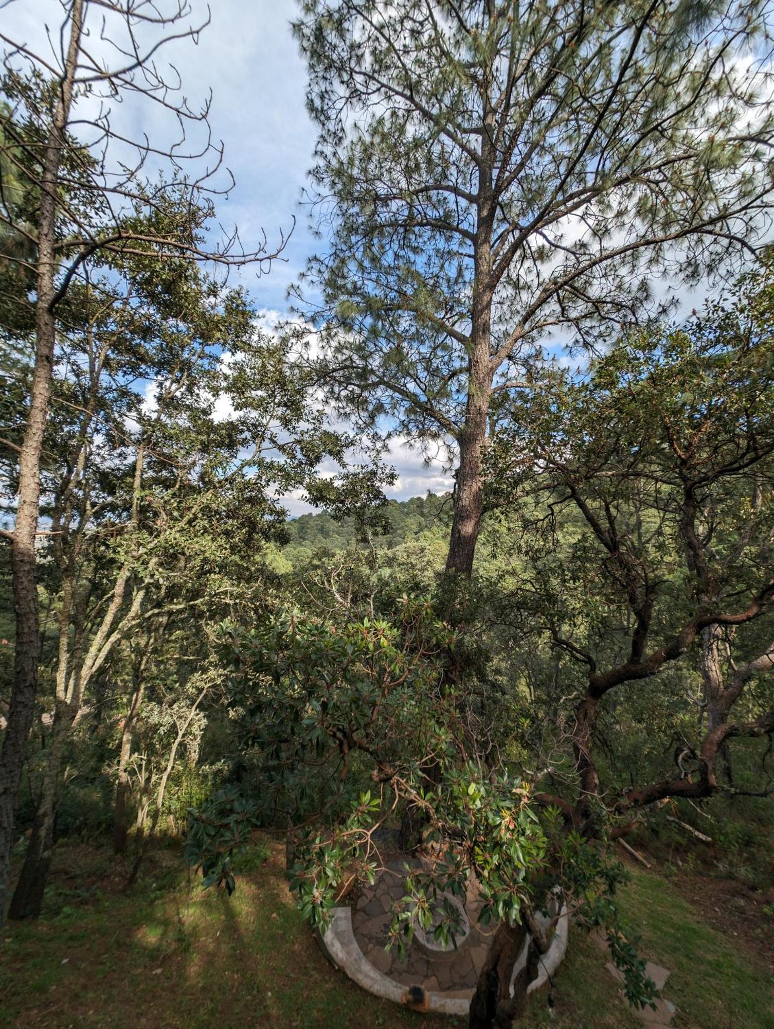 Cabana La Finca Mazamitla Eksteriør billede