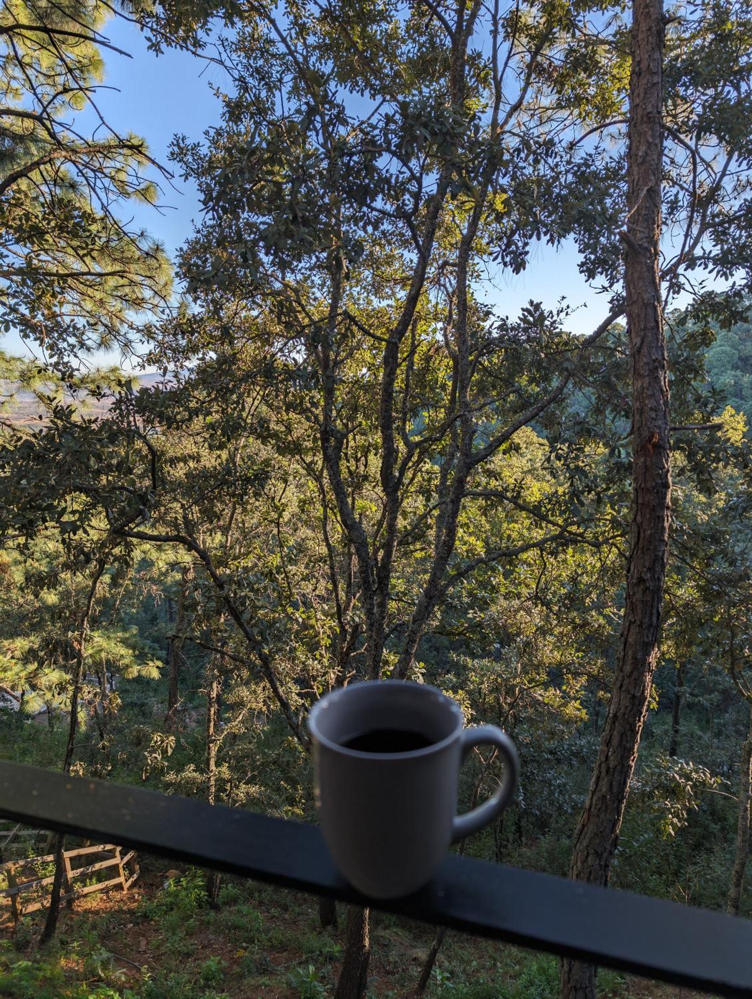 Cabana La Finca Mazamitla Eksteriør billede